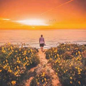 爱玩的梦程头像