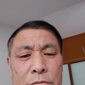 东方的太阳头像