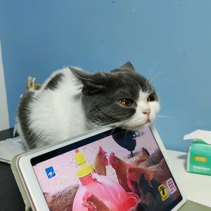 丢丢音乐台头像