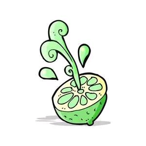 青柠君头像