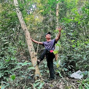 优乐秘境森林高杆头像