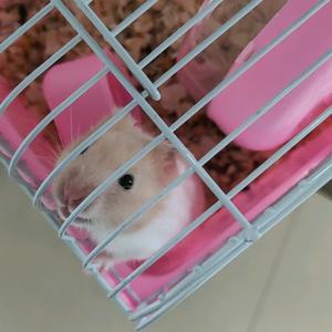 听说名字长会有傻子跟着念头像