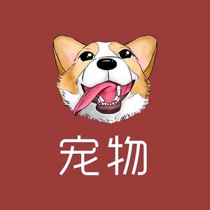 宠物知识讲解员头像