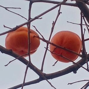 东北·抚顺·老邓头像