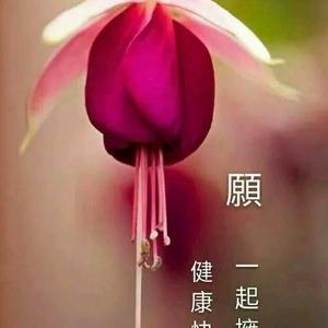 悉帅🍭美仁er头像