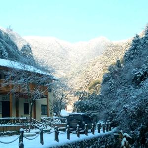 森山里•汪活源头像