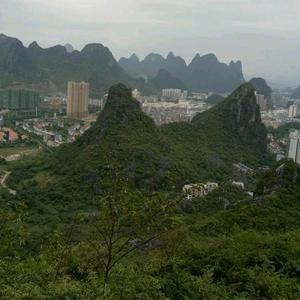天蝎头像