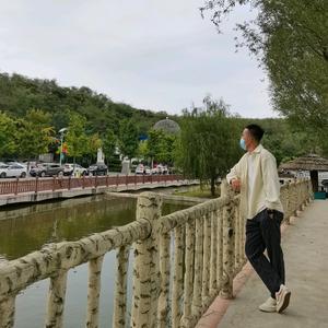 金  湾  体  育头像