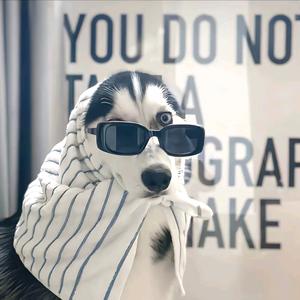 一招半式闯江湖头像