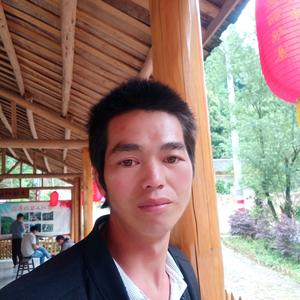 专业砍按木砍草头像