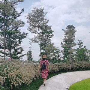 deng行云流水头像