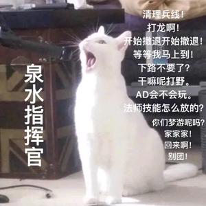 陈博士快毕业头像