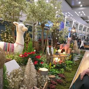 森米小厨房头像