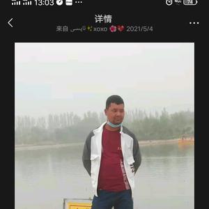 自由的绿叶头像