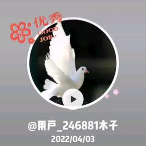 木子246881头像