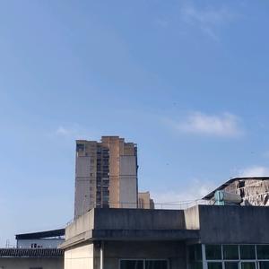 秀秀的朋友圈🍊头像