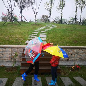 老王的海底世界头像