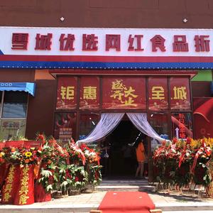 雪城优选网红食品超市头像