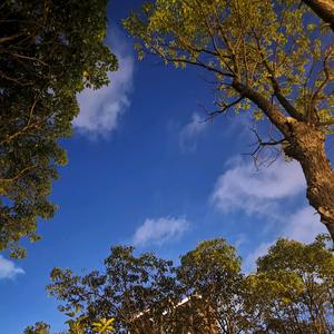 星空漫漫兮头像
