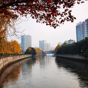 神奇的世界头像