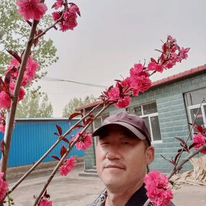 西柳河建材头像