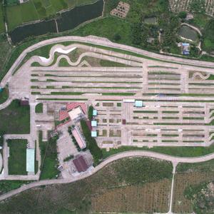 是不会教车的老王吧头像