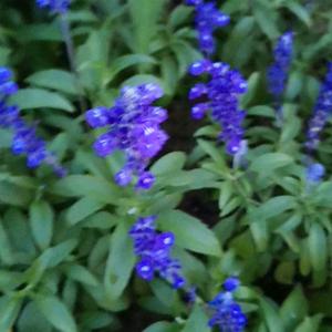 用户2547847269226头像