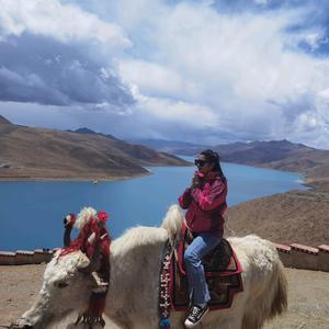 森睿电脑数码配件头像