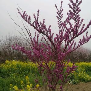 岁月不饶人头像