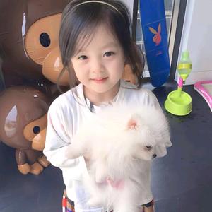 小耶今天吃什么(武院版)头像