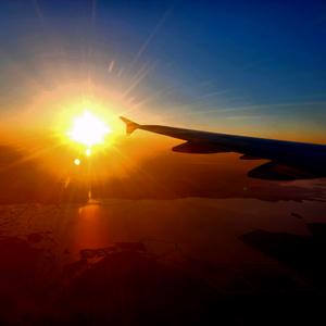 游荡的老李头像