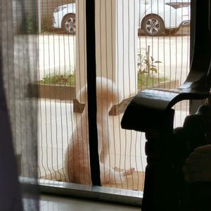 哔哔不回头头像