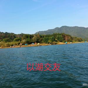 太平湖老李🎣头像