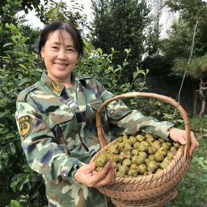 六婶有山货头像