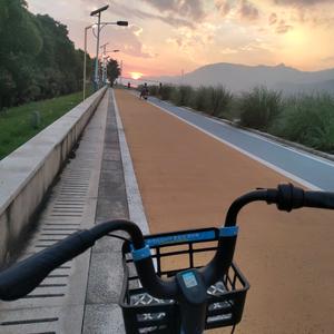 柠檬的美食日记头像