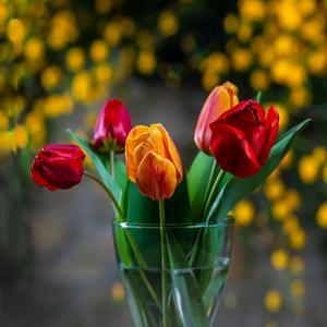 user7879233775976头像