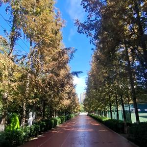 策马啸西风头像