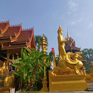 请叫车先生头像