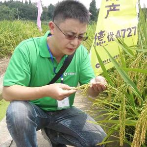 种业强哥头像