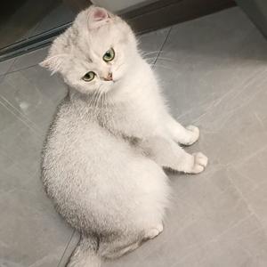 小迷有点迷头像