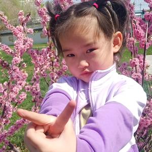 执着的刺猬头像