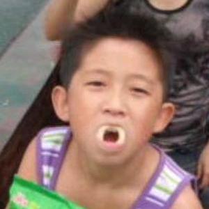 别来干涉我🦈头像