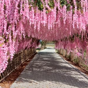 用户114150496263头像