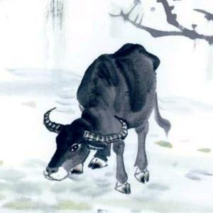 风雪夜歸人头像