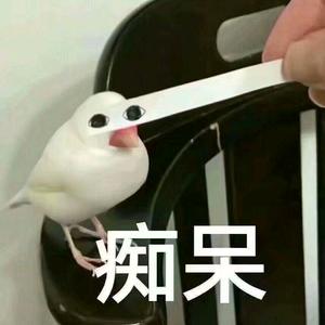 吃掉碧根果头像