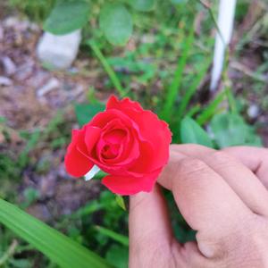 享受吃喝玩乐头像