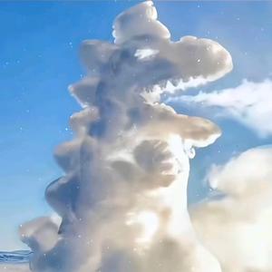 所以你弃权头像