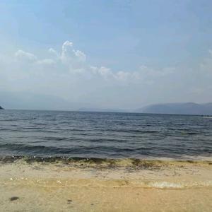 🌻我的海阔天空头像