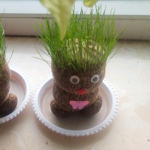 稳稳的幸福.头像