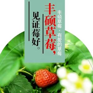 临汾丰硕草莓园头像